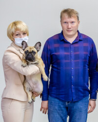 Французский бульдог UMMA на выставочной площадке, САС, Москва, октябрь 2020