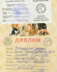 [STORY]-[UMMA]-[15.05.2021]-[МОНО]-ОО КОКПЦ Фортуна -Калуга-Патрина Марина