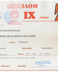 [STORY]-[NECTARINE]-[05.06.2021]-[САС]-РОО РУССКАЯ ГИЛЬДИЯ КИНОЛОГОВ-Москва-Natasa Davidovic (Сербия)