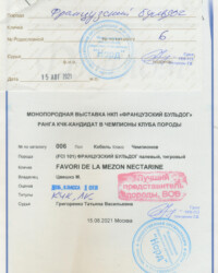 [STORY]-[NECTARINE]-[15.08.2021]-[МОНО]-МКОО Норд-Москва-Григоренко Татьяна