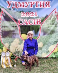 Французский бульдог NECTARINE на выставке, МОНО, август 2021