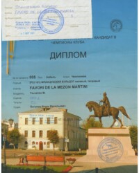 [STORY]-[MARTINI]-[17.10.2021]-[МОНО]-ТГ ОО ОКП-Тверь-Бегунов Игорь