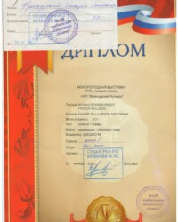 [STORY]-[NECTARINE]-[20.11.2021]-[МОНО]-РОО КЛЖ Олимп-Москва-Кремнев Михаил