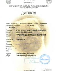 [03.08.2019]_MARTINI_Выставка собак всех пород ранга САС КЧФ г. Москва_г. Москва_Davidovska, Nikolina _ Николина Давидовска_Щенок_Оч. персп._CW, ЛЩ _ BOB puppy
