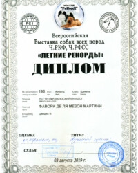 [03.08.2019]_MARTINI_Выставка собак всех пород ранга САС ЧРКФ, ЛЕТНИЕ РЕКОРДЫ-2019_г. Москва_Крюкова Елена Валентиновна_Щенок_Оч. персп._CW, ЛЩ _ BOB puppy