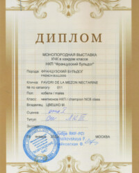 [STORY]-[NECTARINE]-[09.01.2022]-[МОНО]-МКОО Возрождение Бис-Москва-Чайковская Флёра