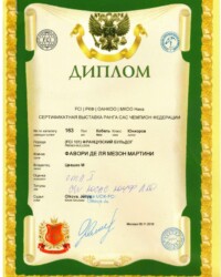 [09.11.2019]_MARTINI_(Ника) Выставка собак всех пород ранга САС ЧФ г. Москва_г. Москва_Юлия Олькова_Юниор_ОТЛ_CW, JCAC, ЮЧФ, ЛЮ _ BOB junior