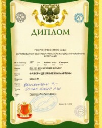 [09.11.2019]_MARTINI_(Орфей) Выставка собак всех пород ранга САС КЧФ г. Москва_г. Москва_Гаврилова Яна Адольфовна_Юниор_ОТЛ_CW, JCAC, ЮКЧФ, ЛЮ _ BOB junior