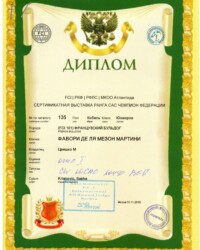 [10.11.2019]_MARTINI_(Атлантида) Выставка собак всех пород ранга САС ЧФ г. Москва_г. Москва_Саша Китанович_Юниор_ОТЛ_CW, JCAC, ЮЧФ, ЛПпп _ BOS