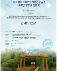 [15.08.2020]_MARTINI_Выставка ФРАНЦУЗСКИХ БУЛЬДОГОВ ранга КЧК Тверь_г. Тверь_Сударикова Людмила Анатольевна_Открытый_ОТЛ_CW_