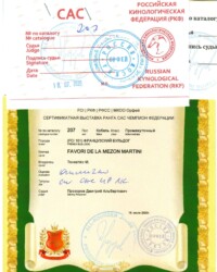 [18.07.2020]_MARTINI_(18Орфей) Выставка собак всех пород ранга САС г. Москва_г. Москва_Прозоров Дмитрий Альбертович_Промежуточный_ОТЛ-1_CW, CAC, ЧФ