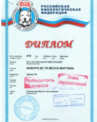[18.08.2019]_MARTINI_Выставка собак всех пород ранга САС КЧФ г. Подольск_г. Подольск_Соловьева Ирина Николаевна_Щенок_Оч. персп.-1_CW, ЛЩ _ BOB puppy