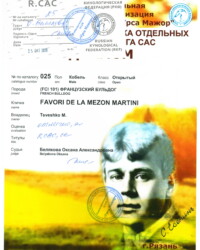 [25.10.2020]_MARTINI_Выставка собак всех пород 9 группы FCI ранга САС_УРСА МАЖОР_ г. Рязань_Белякова Оксана Александровна_Открытый_ОТЛ_CW, СС, R.CAC