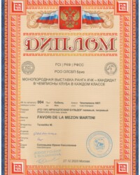 [27.12.2020]_MARTINI_Выставка ФРАНЦУЗСКИХ БУЛЬДОГОВ ранга КЧК в каждом классе_г. Москва_Соловьева Ирина Николаевна_Чемпион НКП_ОТЛ-1_CW