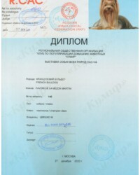 [27.12.2020]_MARTINI_Выставка собак всех пород ранга САС_г. Москва_Гаврилова Яна Адольфовна_Чемпион_ОТЛ-1_CW, R.CAC