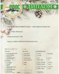 [STORY]-[UMMA]-[30.01.2022]-[CACIB]-РФОС-Москва-Никола Смолич (Хорватия)