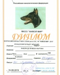 [31.08.2019]_MARTINI_Всероссийская выставка собак всех пород ранга САС, ЧФ _ЖИВОЙ МИР - 2019г. Москва_ТРОФИМОВ ДМИТРИЙ ВАЛЕРЬЕВИЧ_Оч. персп.-1_CW, ЛЩ _ BOB puppy