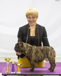 09.01.2022 Выставка собак всех пород ранга САС «НОВОГОДНИЕ ВСТРЕЧИ - 2022» МОРОО "СКС" г. Битца Прощенко Елена Валерьевна / Proshenko Elena