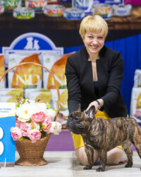 09.01.2022 Выставка собак всех пород ранга САС «НОВОГОДНИЕ ВСТРЕЧИ - 2022» МОРОО "СКС" г. Битца Прощенко Елена Валерьевна / Proshenko Elena