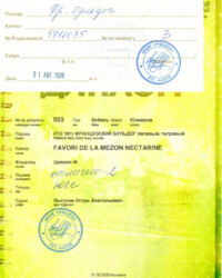 [STORY]-[NECTARINE]-[01.08.2020]-[МОНО]-МОРОО ДПКЦ Полярная Звезда-Коломна-Выгузов Игорь