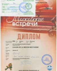 [STORY]-[NECTARINE]-[04.11.2020]-[САС]-МОО Тои и собаки компаньоны-Москва-Овсянникова Юлия