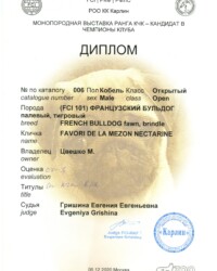 [STORY]-[NECTARINE]-[05.12.2020]-[МОНО]-РОО КК Карлин-Москва-Гришина Евгения