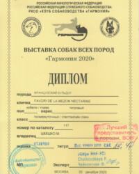 [STORY]-[NECTARINE]-[05.12.2020]-[САС]-РКОО КС Гармония-Москва-Чайковская Флёра