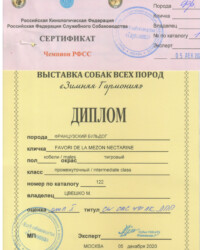 [STORY]-[NECTARINE]-[05.12.2020]-[САС]-РКОО КС Гармония-Москва-Краковская Людмила