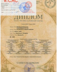 [08.03.2021]_MARTINI_МЕЖДУНАРОДНАЯ ВЫСТАВКА СОБАК ВСЕХ ПОРОД (CACIB-FCI, Ч РКФ) _БАЛТИЙСКИЙ ТРИУМФ__г. Санкт-Петербург_Есаулова Татьяна_Чемпион_ОТЛ-1_R.CAC