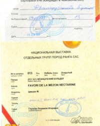 [STORY]-[NECTARINE]-[10.12.2020]-[САС]-РОО КЛЖ Екселент-Москва-Глухова Людмила
