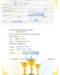 [STORY]-[NECTARINE]-[10.12.2020]-[САС]-МКОО ИМПЕРИЯ ЗВЁЗД-Москва-Васильев Олег