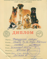 [STORY]-[MARTINI]-[15.05.2021]-[МОНО]-ОО КОКПЦ Фортуна-Калуга-Патрина Марина