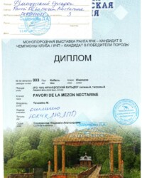 [STORY]-[NECTARINE]-[15.08.2020]-[МОНО]-ТГ ОО ОКП-Тверь-Сударикова Людмила
