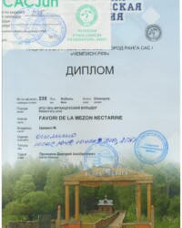 [STORY]-[NECTARINE]-[17.10.2020]-[МОНО]-ТГ ОО ТКЦ-Тверь-Прозоров Дмитрий