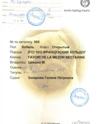 [STORY]-[NECTARINE]-[17.12.2020]-[САС]-РОО КК Карлин-Москва-Захарова Галина