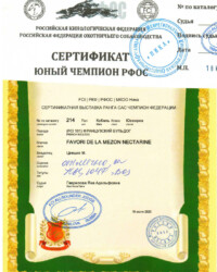 [STORY]-[NECTARINE]-[18.07.2020]-[САС]-МКОО Ника-Москва-Гаврилова Яна