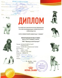 [STORY]-[NECTARINE]-[19.12.2020]-[МОНО]-РОО КЛЖ Олимп-Москва-Ковадло Любовь
