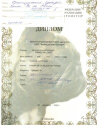 [STORY]-[NECTARINE]-[20.09.2020]-[МОНО]-РООКО Прометей-Москва-Пирогова Ираида