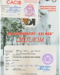 [STORY]-[NECTARINE]-[21.11.2020]-[CACIB]-СОДОЛС-Екатеринбург-Лобакин Виктор