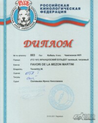 [STORY]-[MARTINI]-[23.05.2021]-[МОНО]-ПГОО КЛЖ Русь-Подольск-Соловьева Ирина