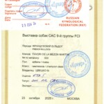 [STORY]-[MARTINI]-[23.10.2020]-[CAC]- РОО КУМИР-Москва-Гаврилова Яна