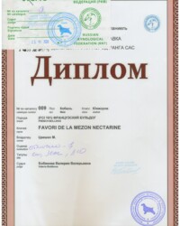 [STORY]-[NECTARINE]-[23.10.2020]-[САС]-МОО КК АКС-Москва-Бобикова Валерия
