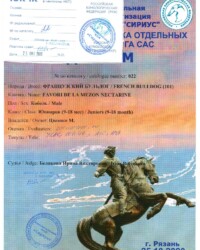 [STORY]-[NECTARINE]-[25.10.2020]-[САС]-РРОО КК Сириус-Рязань-Белякова Ирина