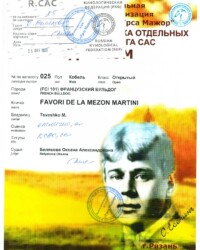 [STORY]-[NECTARINE]-[25.10.2020]-[САС]-РРОО КК УРСА МАЖОР-Рязань-Белякова Оксана