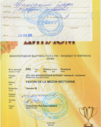 [STORY]-[NECTARINE]-[26.09.2020]-[МОНО]-МООЛЖ Амиго-Москва-Гаврилова Яна