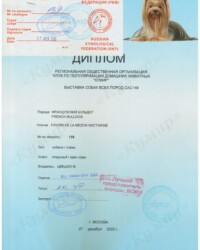 [STORY]-[NECTARINE]-[27.12.2020]-[САС]-РОО КУМИР-Москва-Гаврилова Яна