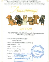 [STORY]-[NECTARINE]-[29.11.2020]-[МОНО]-МКОО АТЛАНТИДА-Москва-Тихомирова Марина