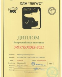 [STORY]-[NECTARINE]-[03.04.2021]-[САС]-ОЛЖ ЛИГА'С-Москва-Чайковская Валентина