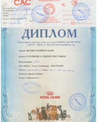 [STORY]-[NECTARINE]-[03.05.2021]-[CAC]-РОО СККЛС АРГУС-Москва-Гаврилова Яна