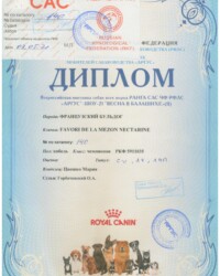 [STORY]-[NECTARINE]-[03.05.2021]-[CAC]-РОО СККЛС АРГУС-Москва-Горбаческий Олег